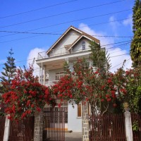 Cô Liên Homestay